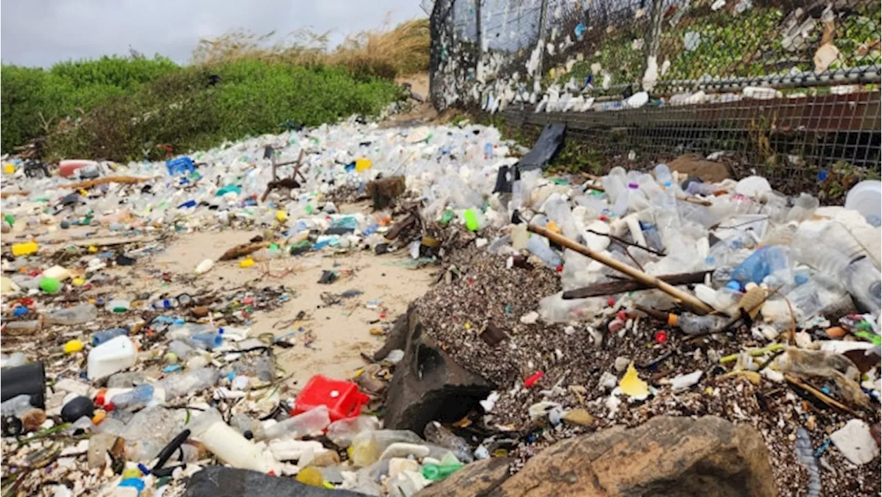 Disturbing scenes at Sydney beaches as tonnes of rubbish wash ashore