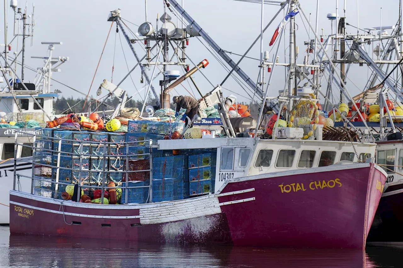 Canadian Seafood Industry Urged to Diversify Amidst US Trade Uncertainty