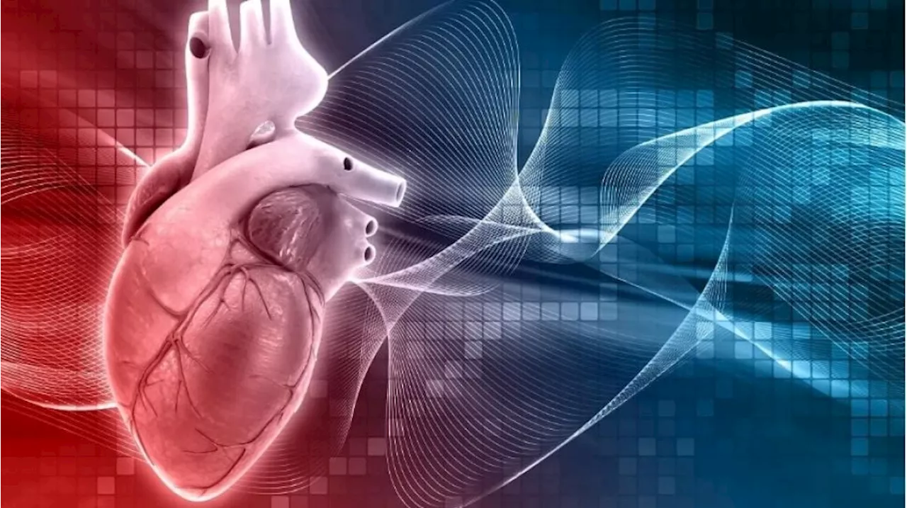 Pentingnya EKG: Mendeteksi Gangguan Jantung Sejak Dini