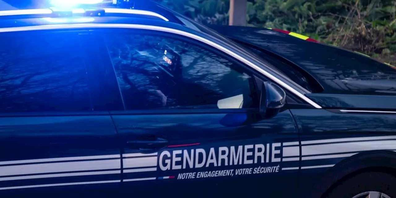 Alcoolisée, elle violente son grand-père et se rebelle pendant son interpellation