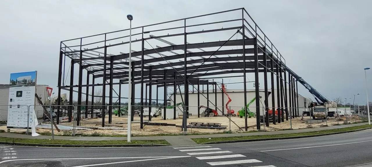 Boris Diaw Lance un Complexe de Padel au Haillan