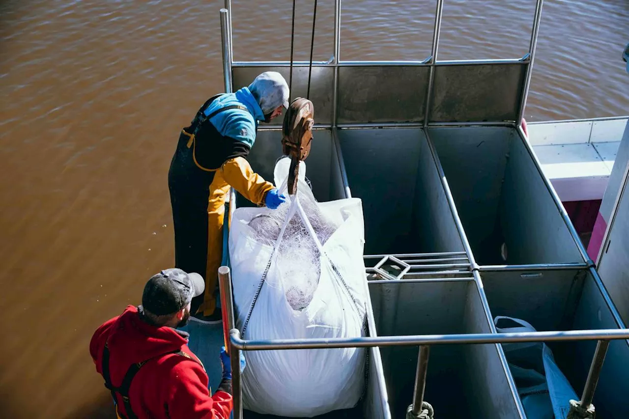 Restriction de la pêche dans le golfe de Gascogne : « Ce sont les petites unités comme celles du port de Capbreton qui souffrent le plus »