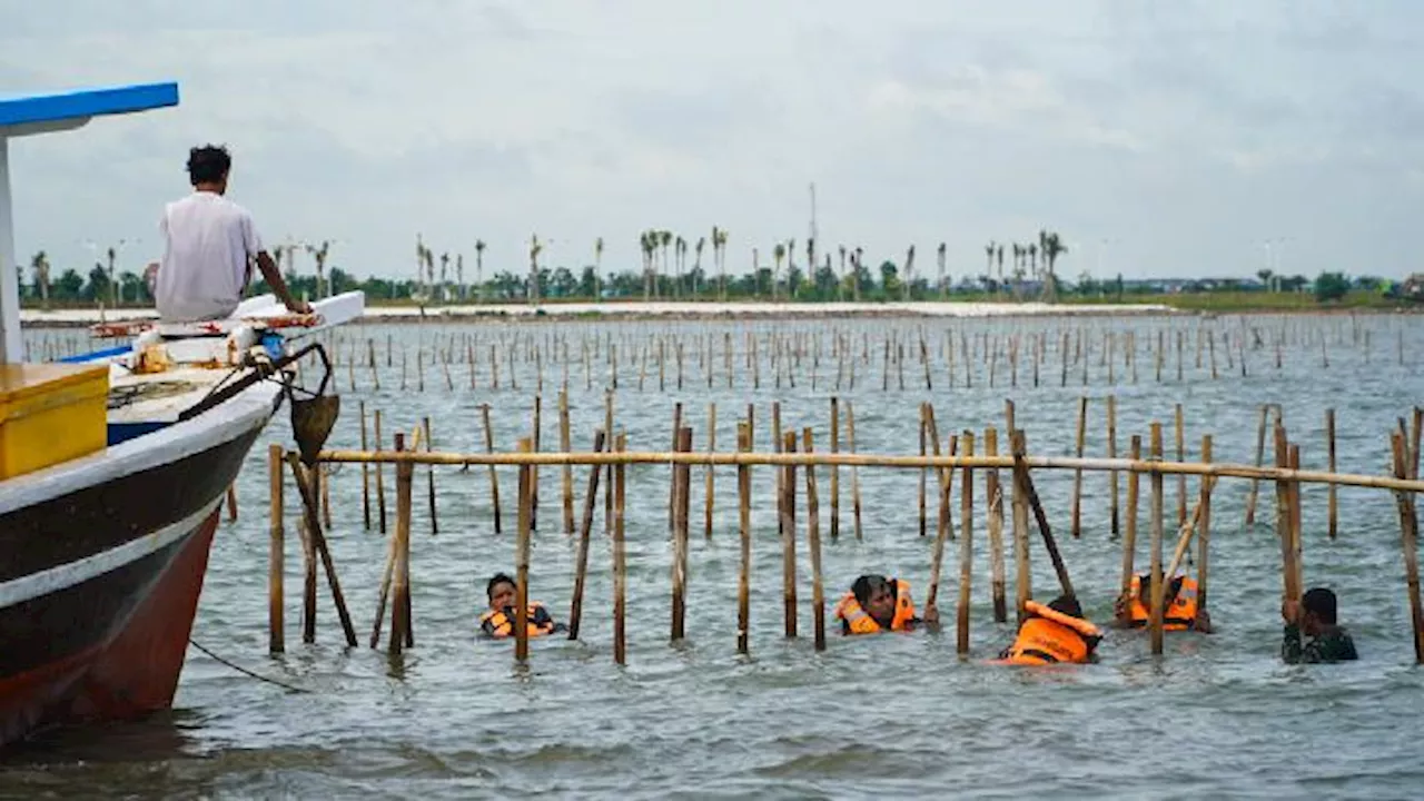 Pemerintah Bongkar Pagar Laut di Tanjung Pasir, Banten