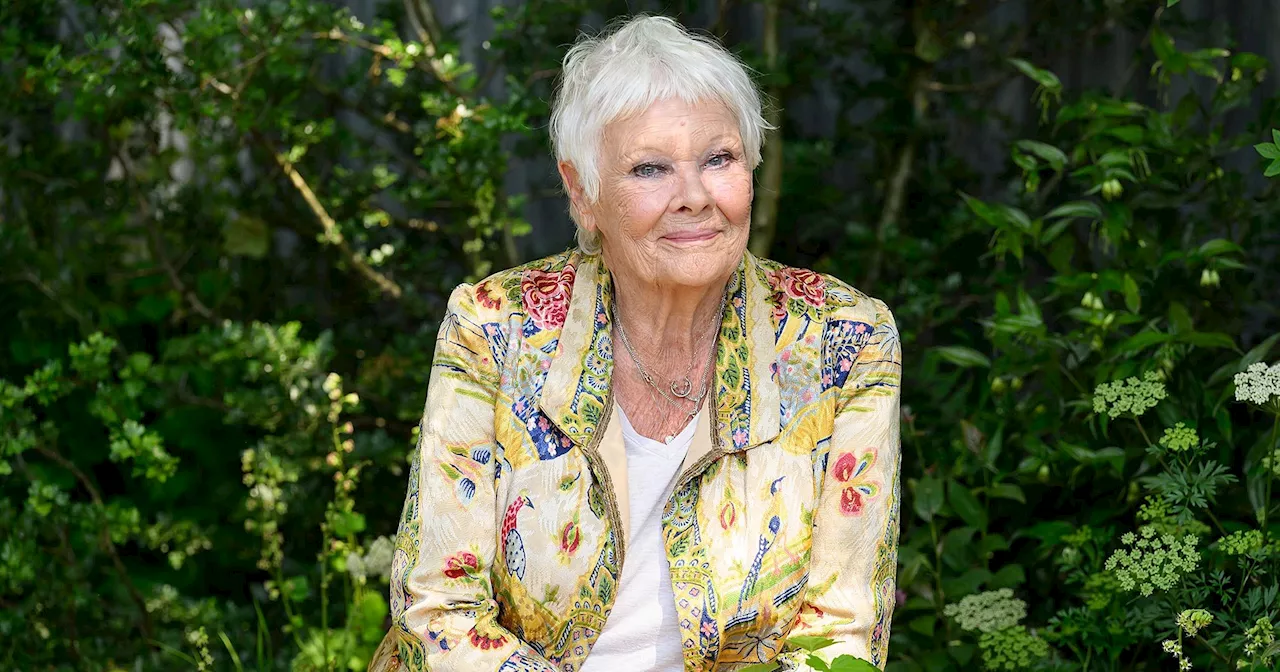 Judi Dench's Vision Loss Impacts Career, Public Life