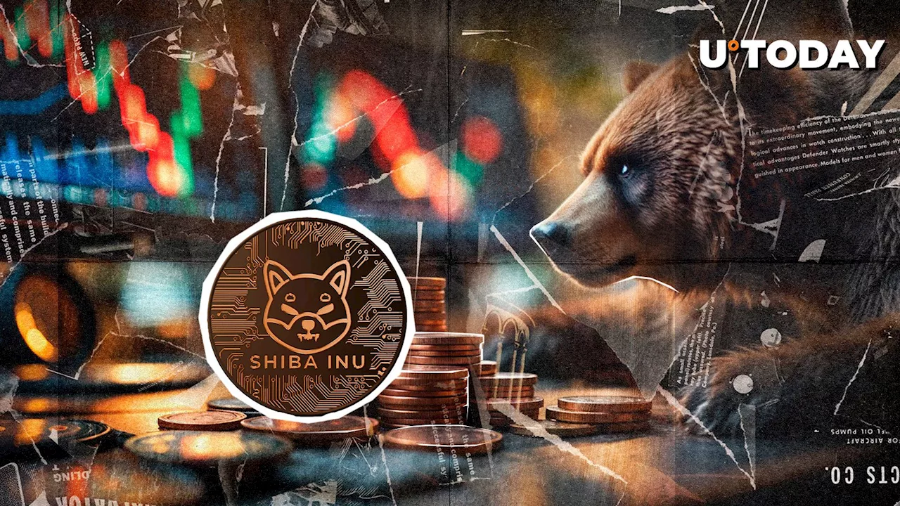 Shiba Inu Breaks Below Key Support, Underperforms Amidst Bullish Market