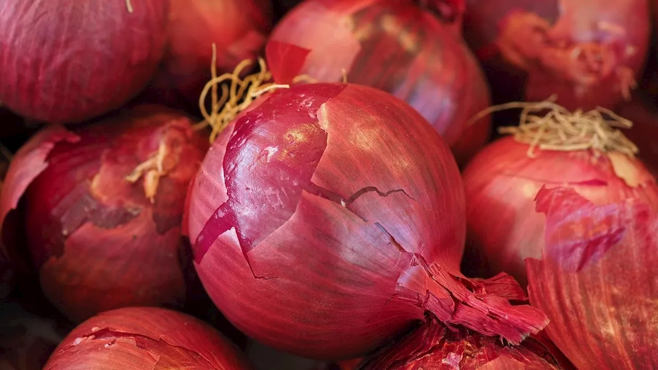 Die Zwiebelschale: Mehr als nur Biomüll