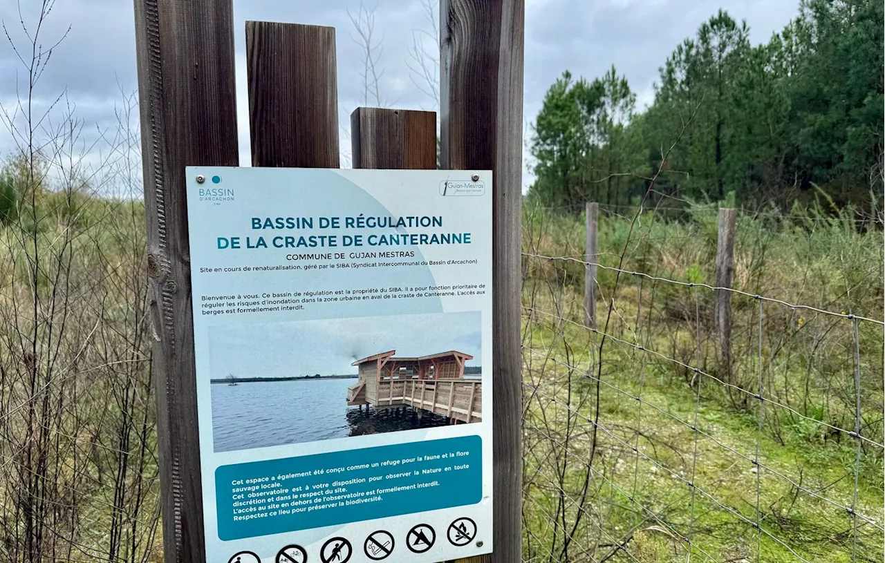 Le rejet d'eau usée dans la nature bientôt autorisé dans le bassin d'Arcachon ?