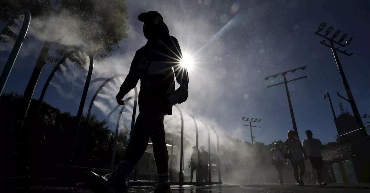 Mild Conditions Forecast for Australian Open Finals