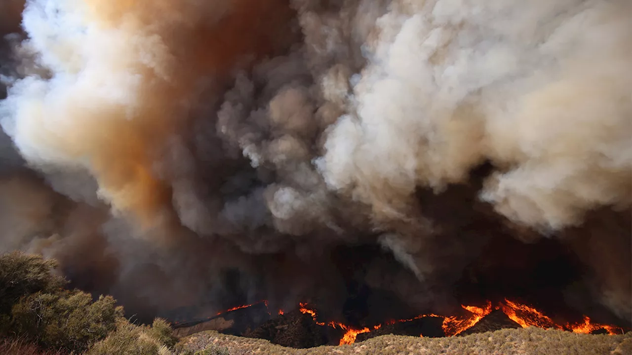 Hughes Fire Burns Over 5,000 Acres Near Castaic, Forcing Evacuations