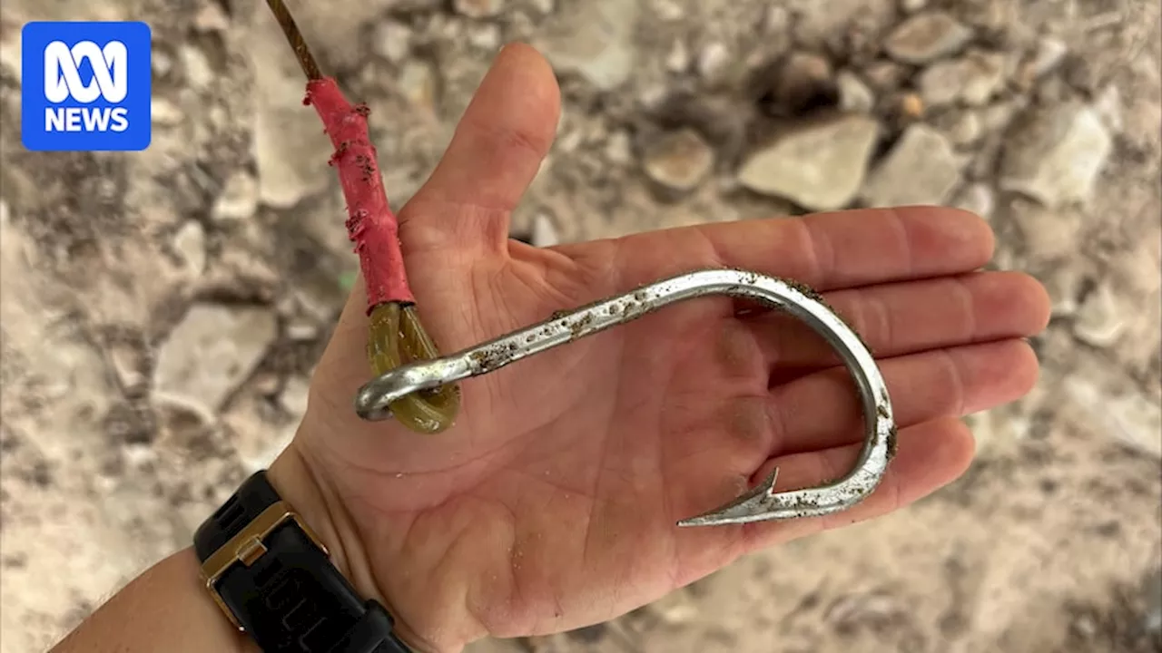 Crocodile Trap Found in Queensland River