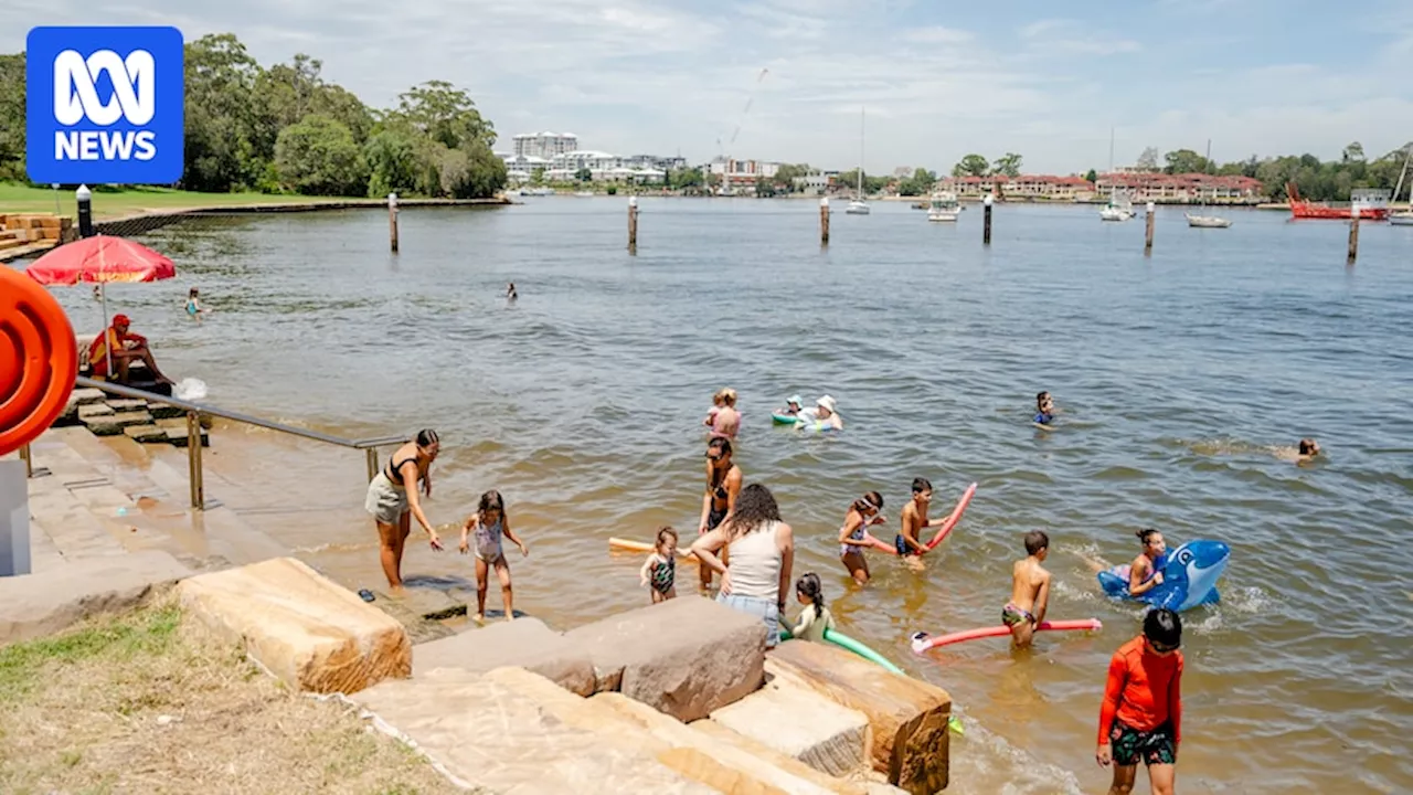 New Swimming Beach Opens on Sydney's Parramatta River