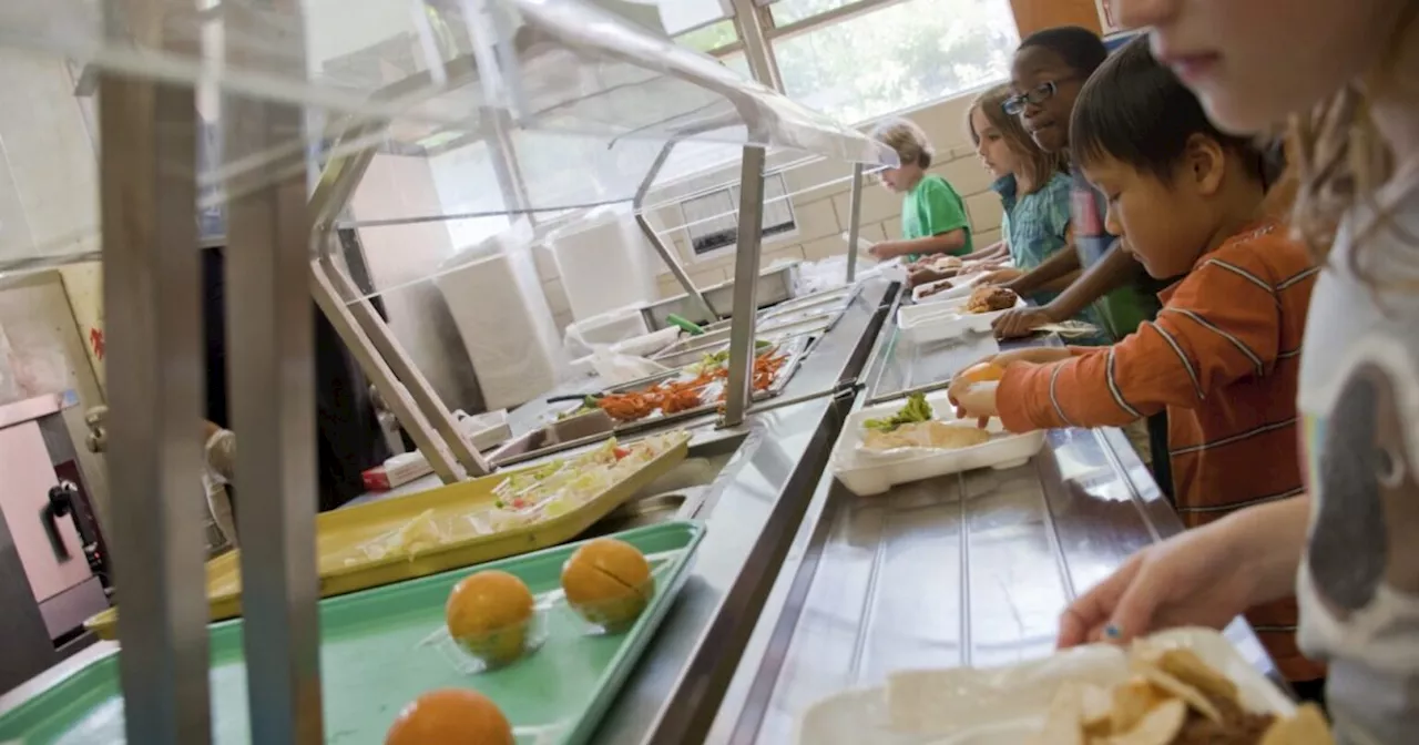 Alaska Legislature Considers Free School Meals for All Students