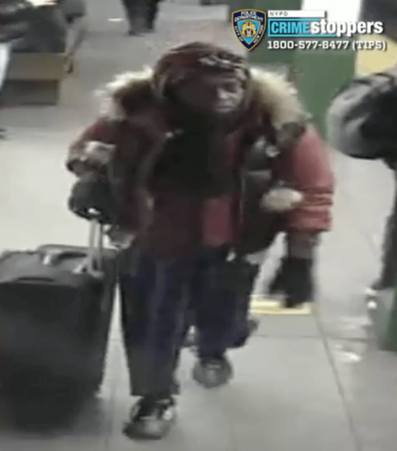 Schoolgirl attacked by 'mentally unstable' woman inside Manhattan subway while on the way to