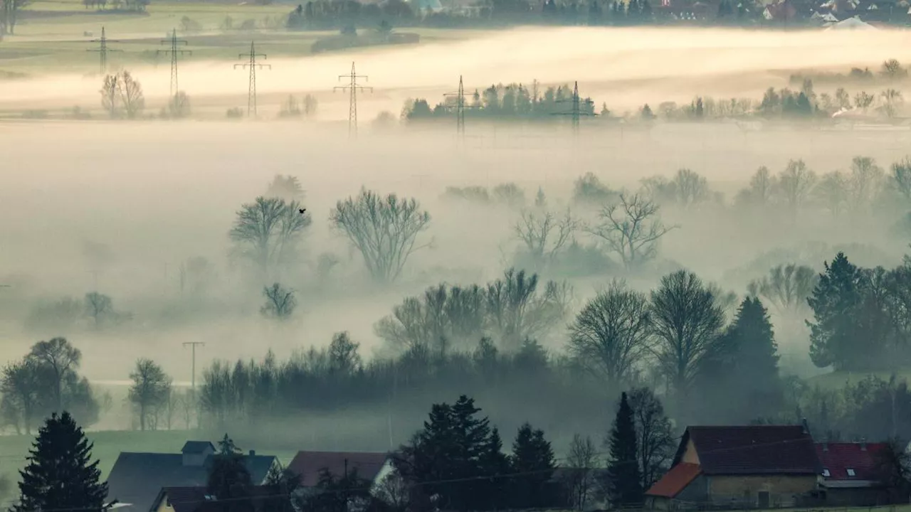 Bayern-Wetter im Ticker: Am Mittwoch gibt es Nebel, später Sonne und Regen