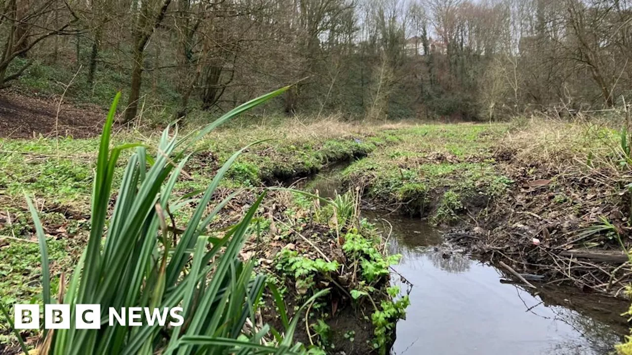 Bristol Brislington Brook: Public assured access to green 'haven of peace'