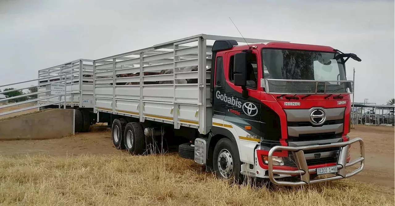 Hino 700 Truck: A Powerful Solution for Namibian Farmers