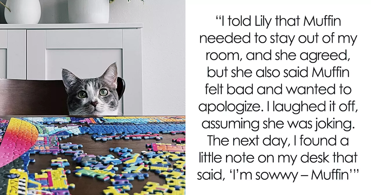 Cat's Puzzle Destruction Sparks Roommate Row: 'Strictly Forbidden' 