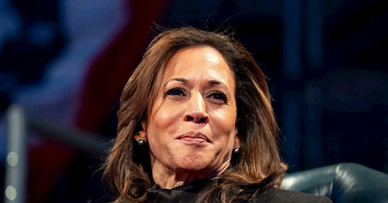 Kamala Harris Visits Eaton Fire Devastation, Delivers Word Salad on 'Community'