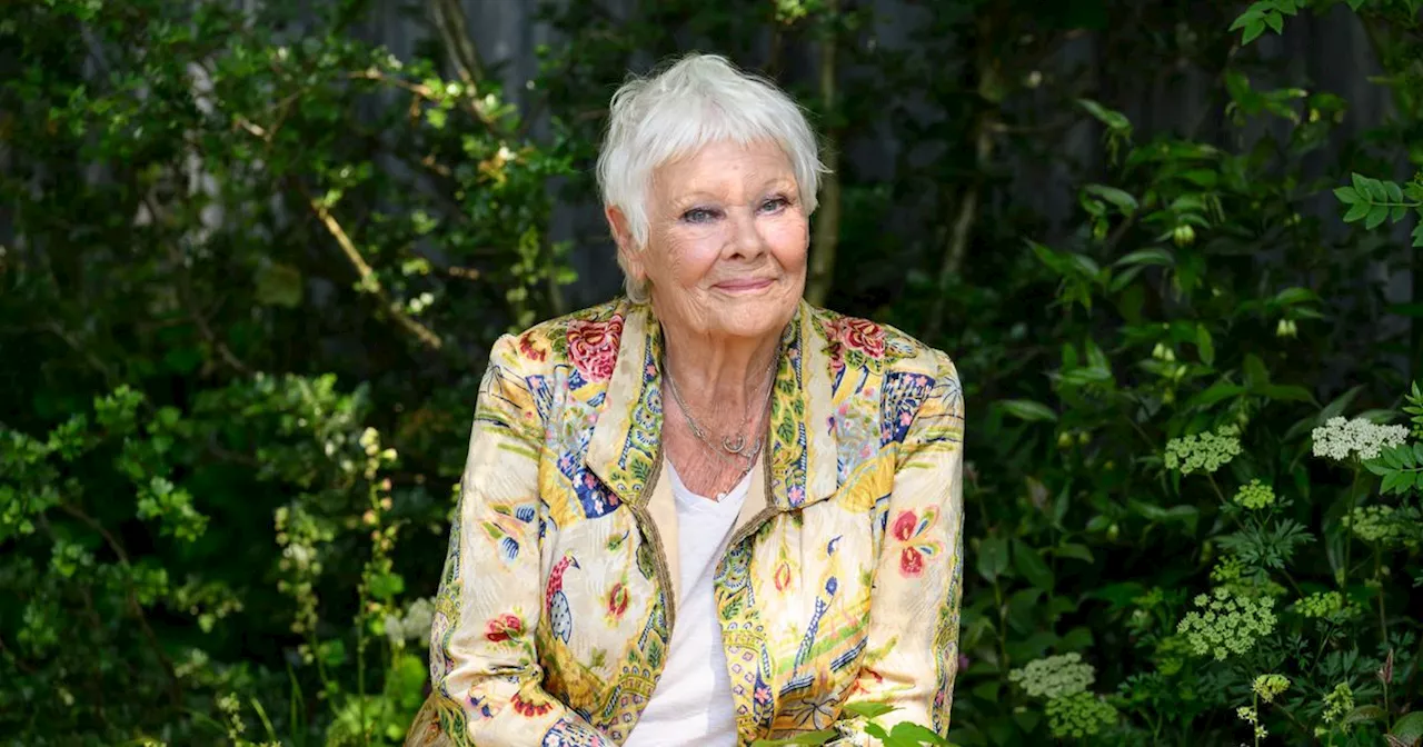 Große Sorge um Judi Dench: Schauspielerin auf Hilfe angewiesen