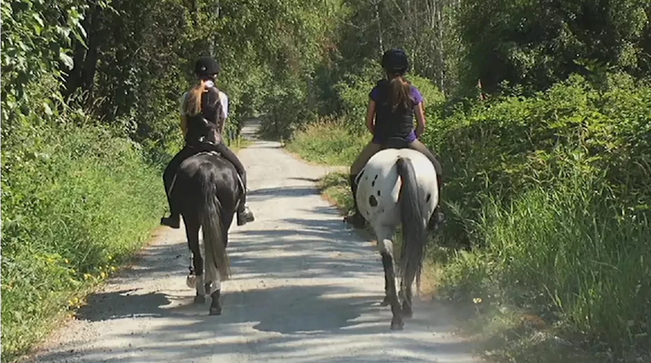 Burnaby horseback riders rally against paving trail in park