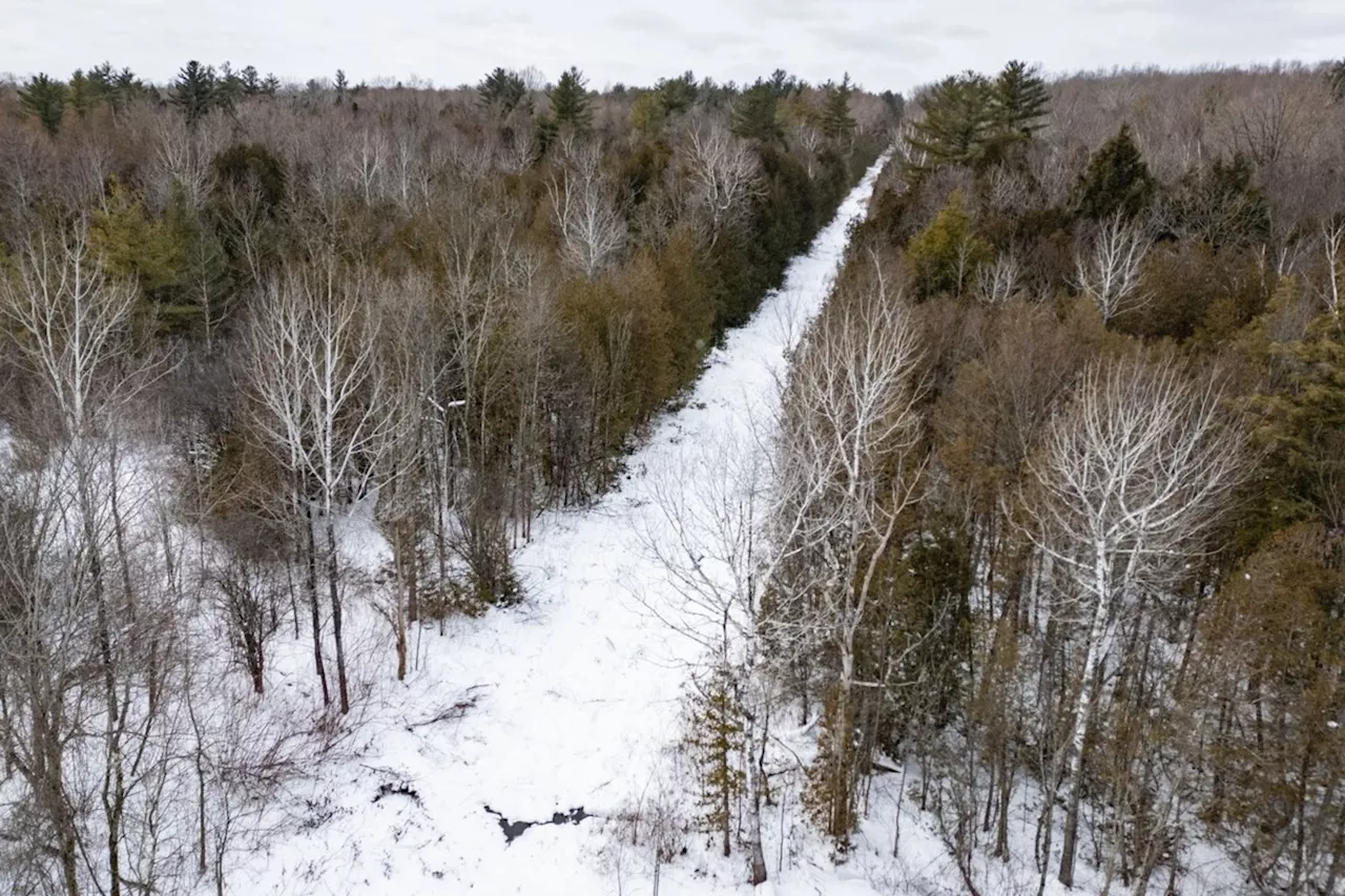 Haitian Man Found Dead Near US Border Likely Died of Hypothermia