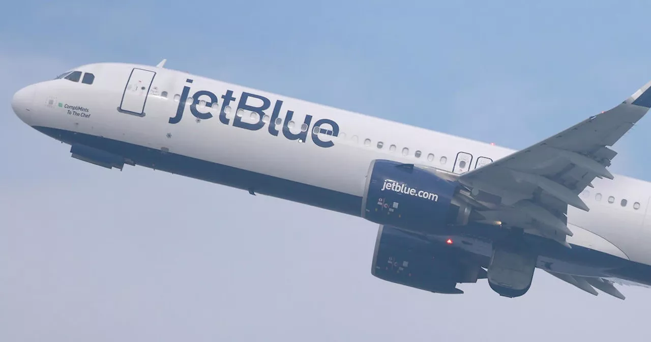 California Couple Sues JetBlue After Ice Chunk Crashes Through Roof