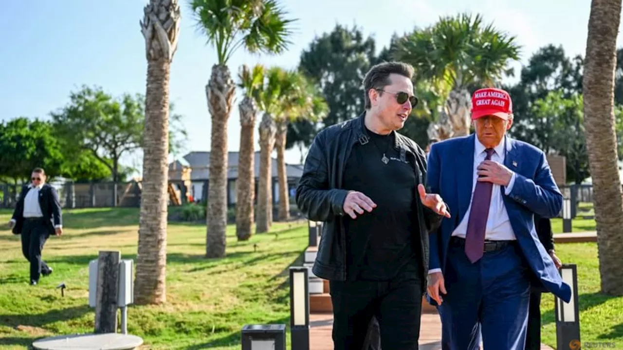 Trump Open to Elon Musk Buying TikTok Despite US Ban