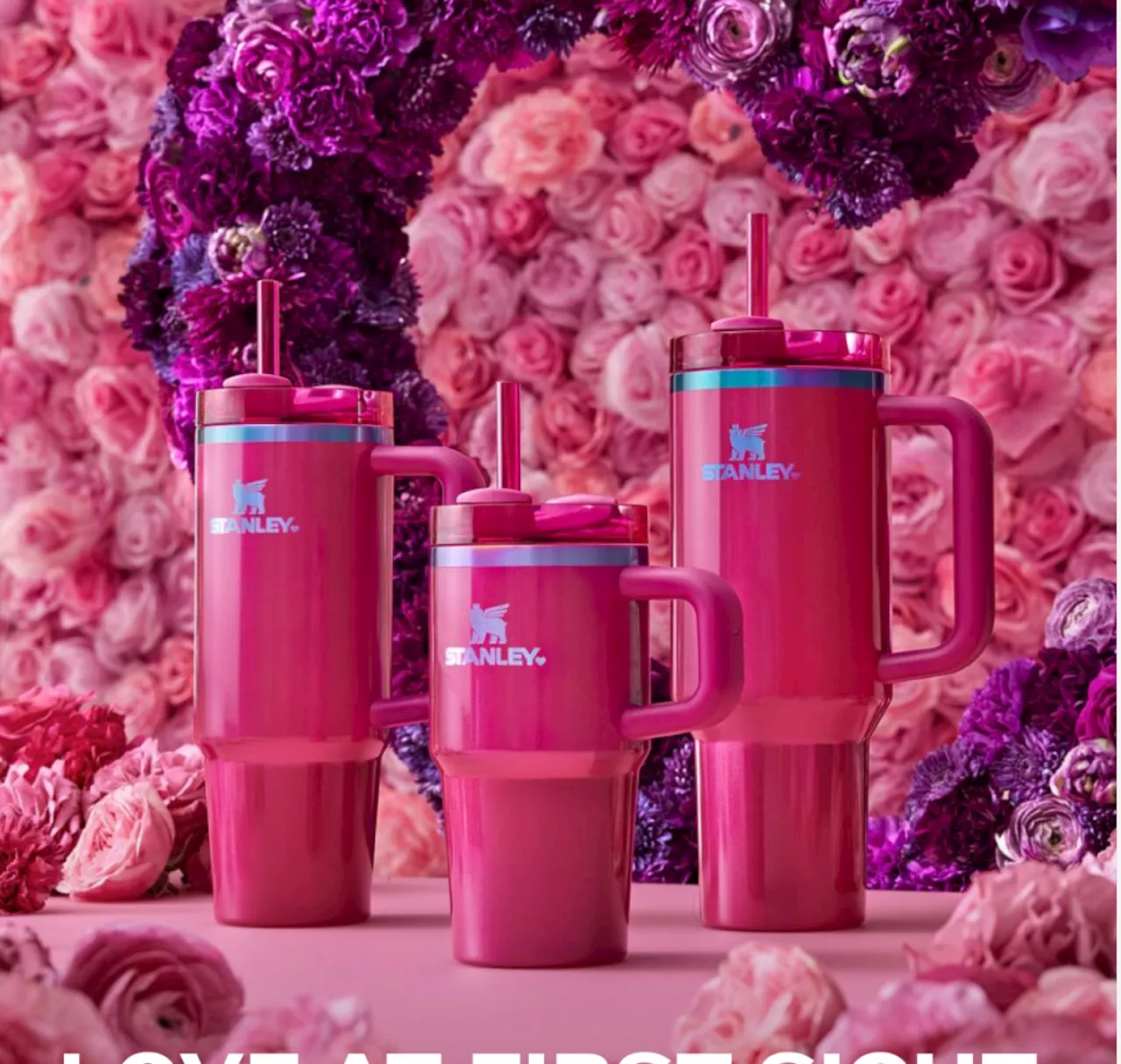 Stanley's Valentine's Day Tumblers Are Here! 