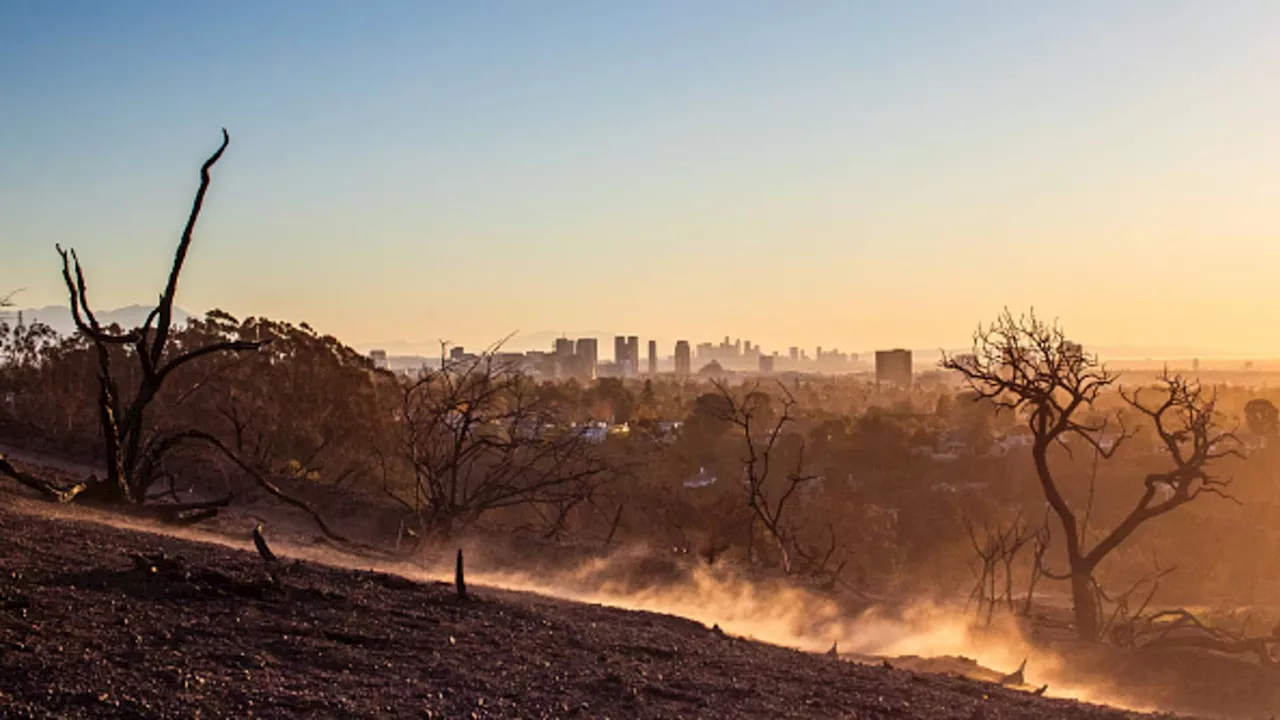 California Wildfires Expected to Push Up Home Insurance Rates Nationwide