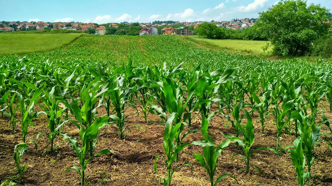 Grupo de Trabalho Cria Programa de Aceleração do Crescimento para Agricultura Familiar