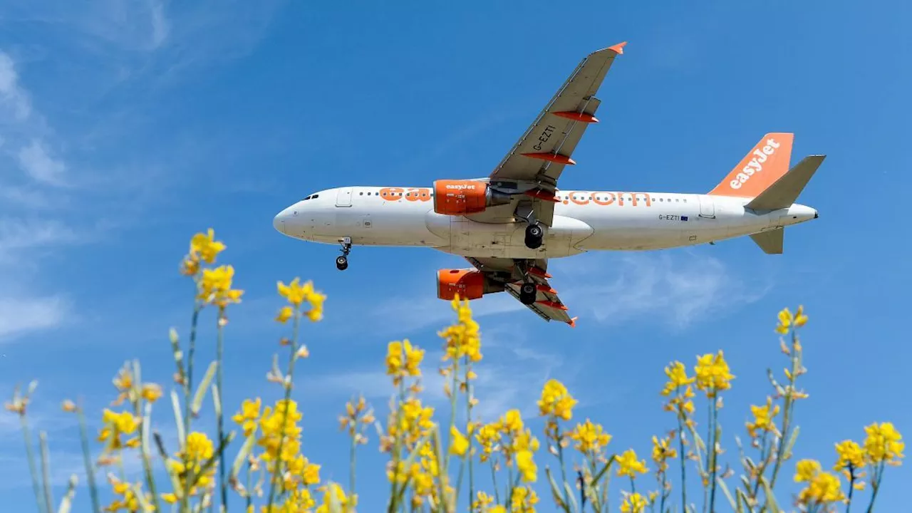 easyJet dimezza le perdite nel quarto trimestre grazie alla forte domanda e al calo del carburante