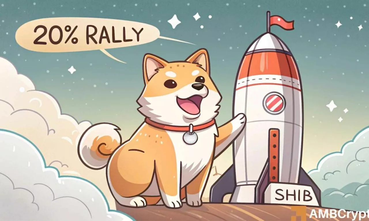 SHIB Price Soars on Bullish Momentum and Exchange Outflow