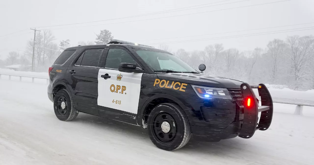 2 youths responsible for threat targeting Prescott, Ont. school: OPP