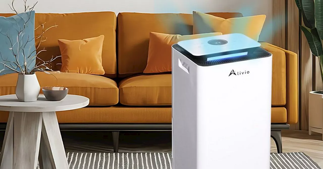 Debenhams shoppers rave over 72% off 'life changing' dehumidifier that 'collects a lot of water'