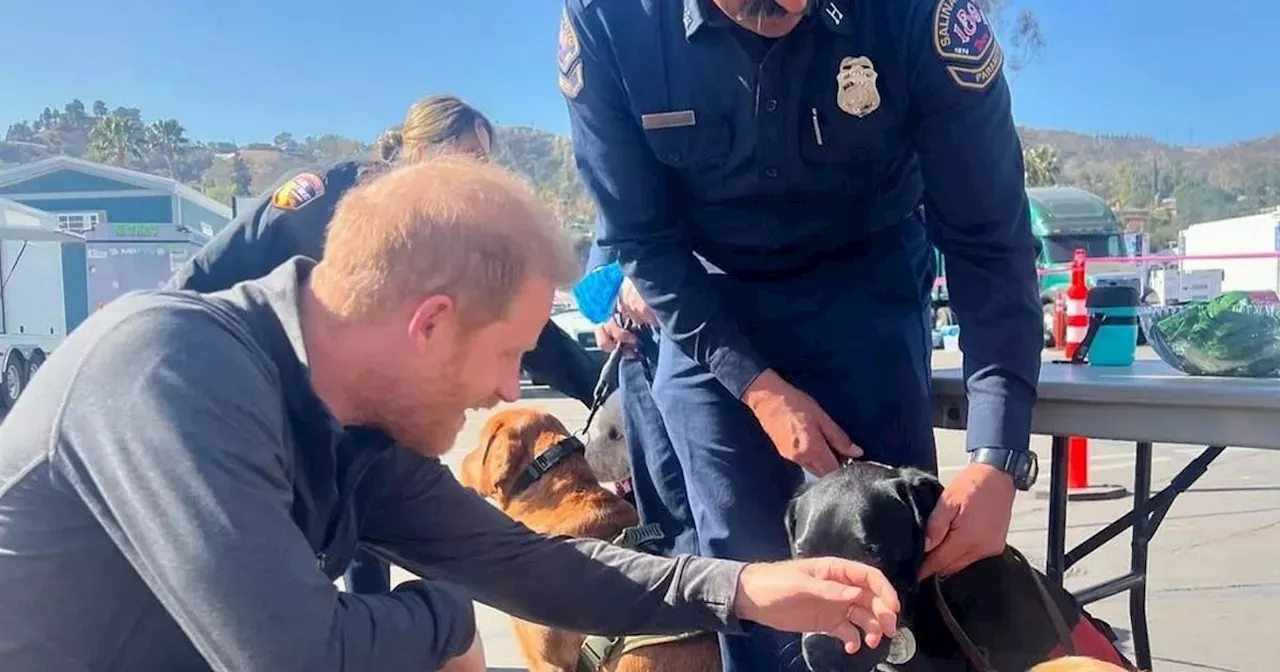 Prince Harry's Body Language Hints at 'Role Confusion' Amidst Wildfire Relief and Criticism