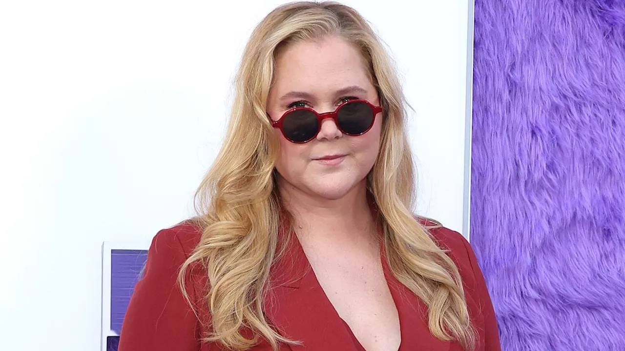 Amy Schumer reveals 'hookup' with MLB star: 'You know who you are'