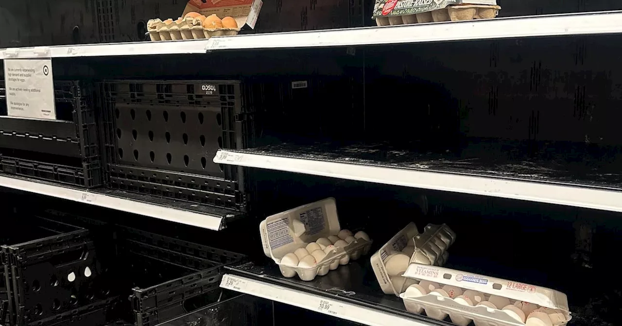 Egg prices rising again, supply dwindling in North Texas with bird flu