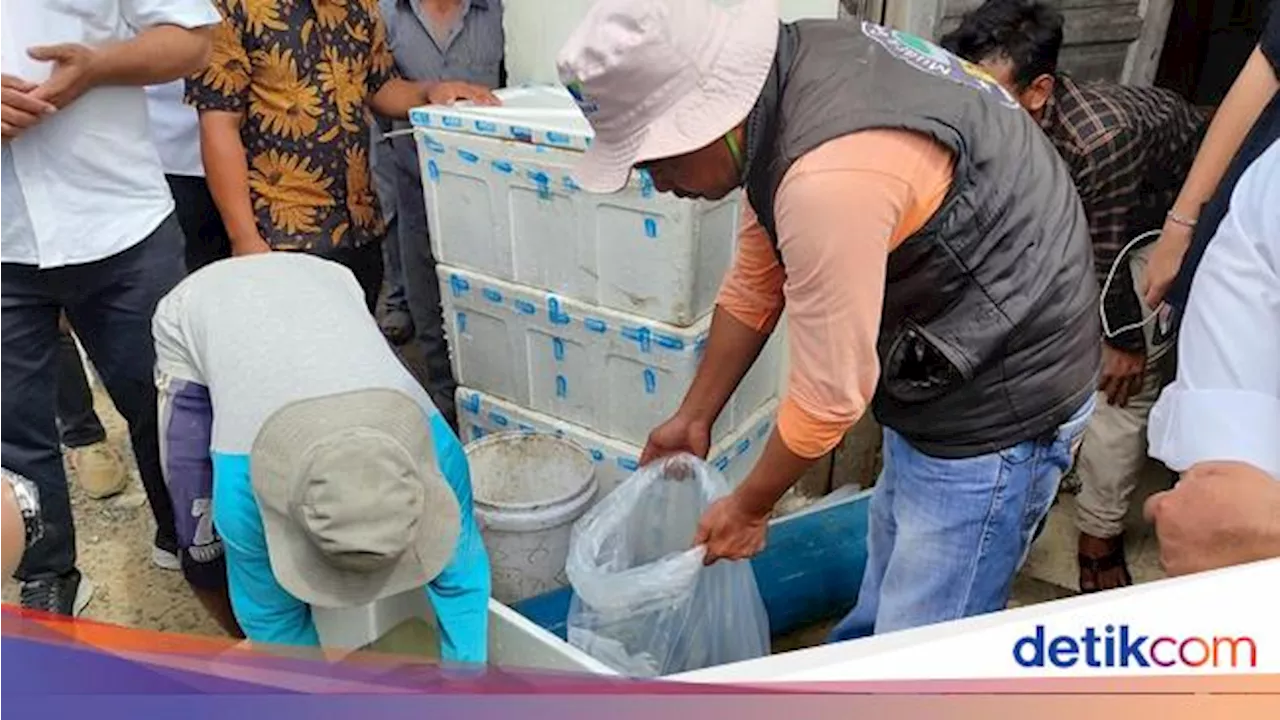 Koperasi Perikanan Bakal Dapat Bantuan dari Pemerintah