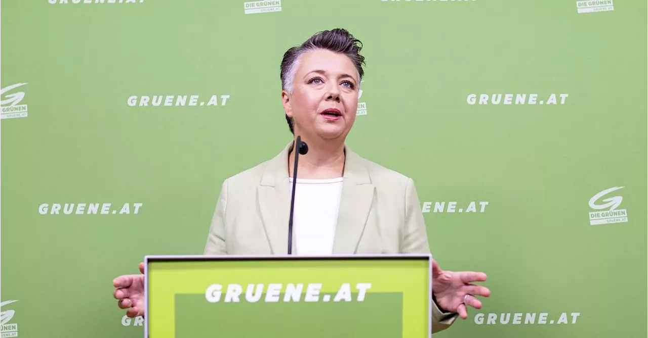 Sellner-Privatanklage: Grüne Generalsekretärin Voglauer wird nicht ausgeliefert