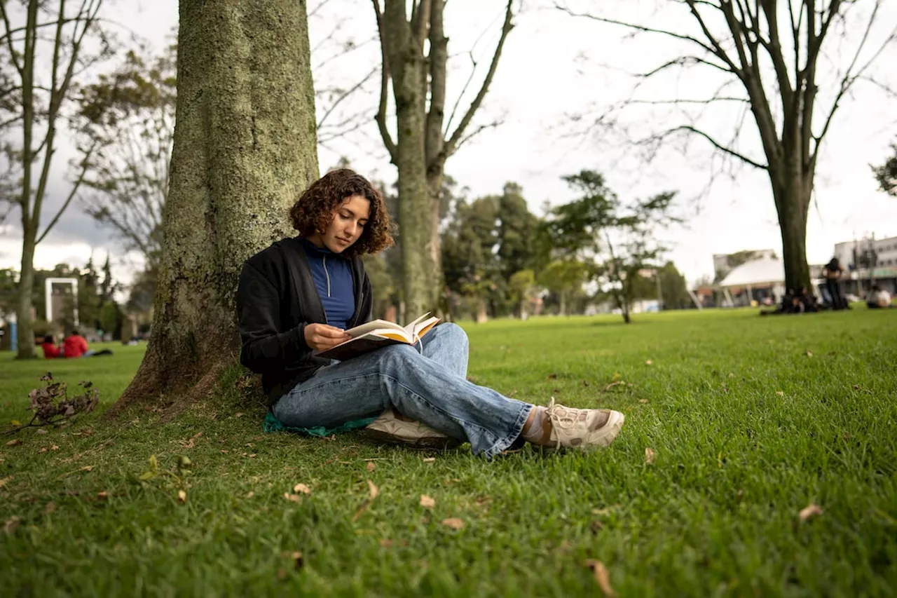 Jovens Espanhóis Lideram a Leitura, Segundo Barómetro do Ministério da Cultura