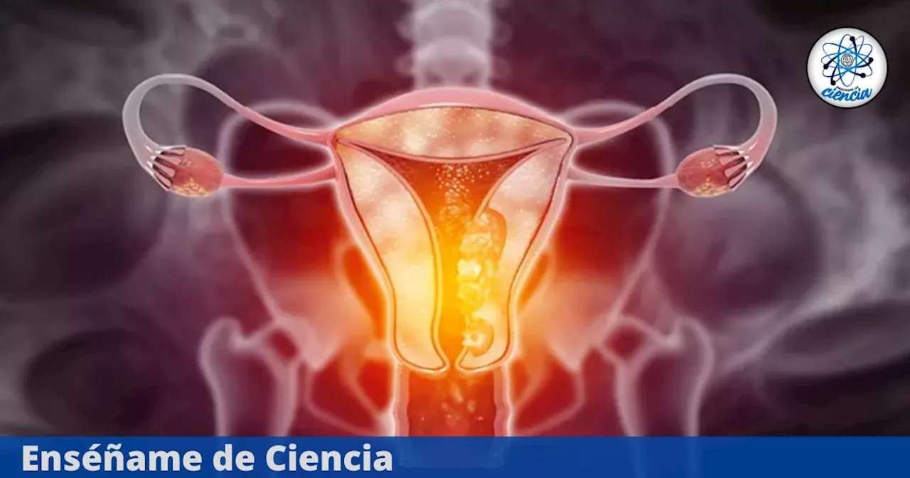 Síntomas de Cáncer de Cuello Uterino: No Ignorar Estos Signos