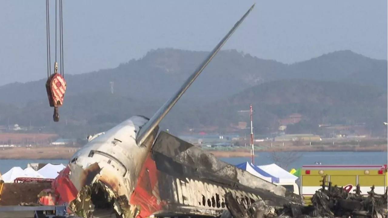 Crash d'un avion en Corée du Sud : les boîtes noires au coeur de l'enquête