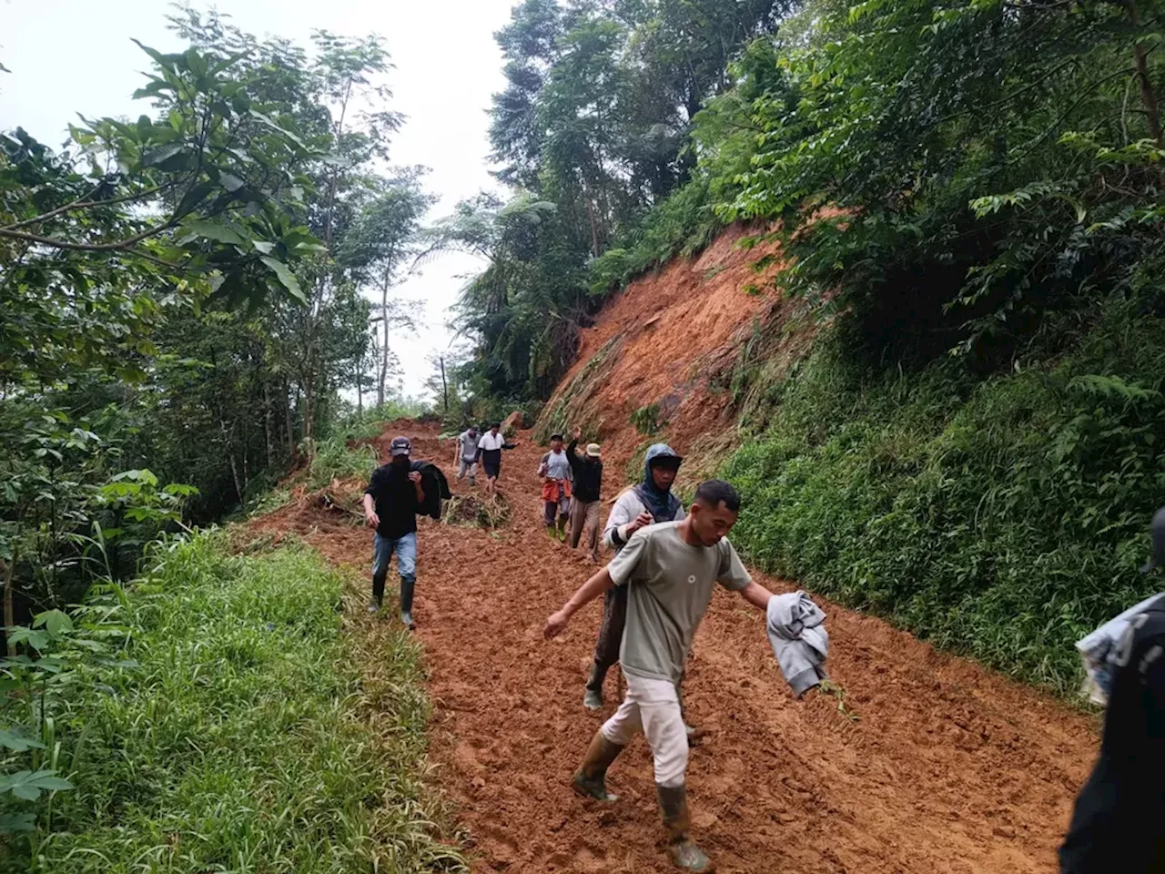 Penjabat Gubernur Jateng: Korban Tewas Longsor Pekalongan 20 Orang, 8 Orang Masih Dicari