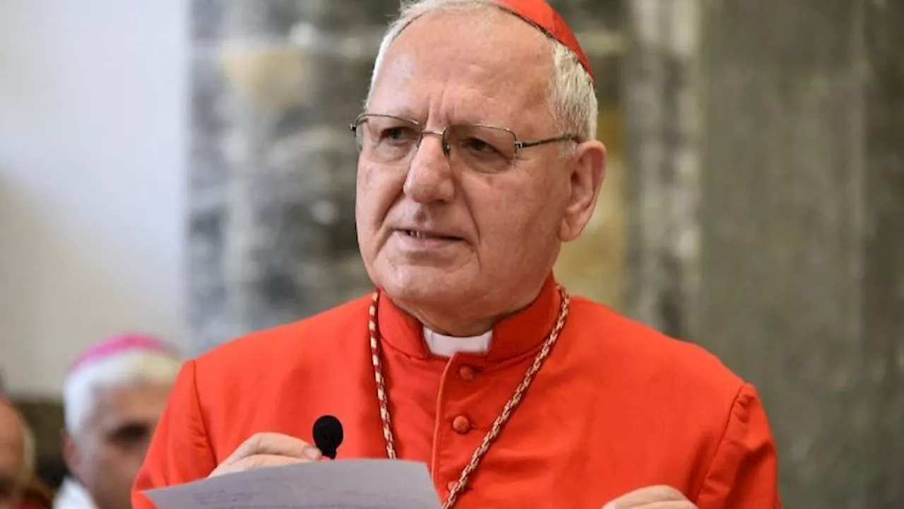 Cardinal Sako: 'Working together is a sign of the unity Churches already share'