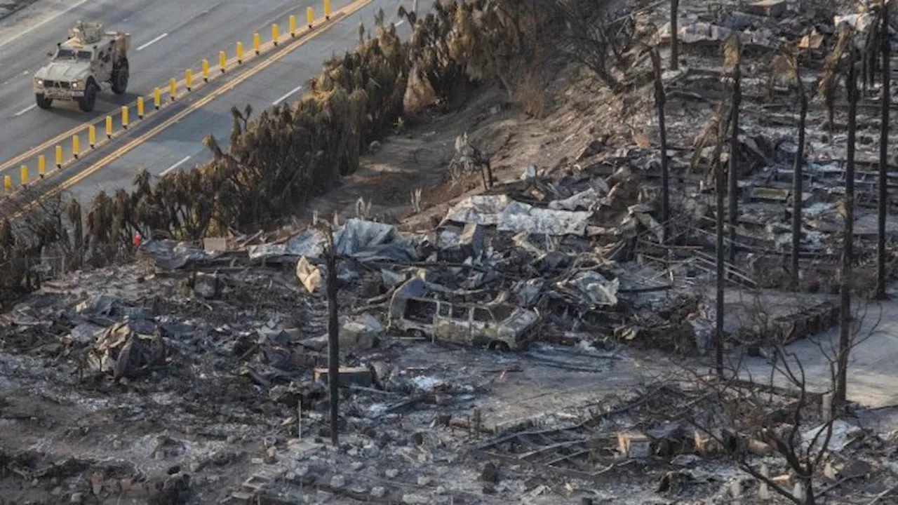 Pope Francis Offers Prayers for Wildfire Victims in Los Angeles