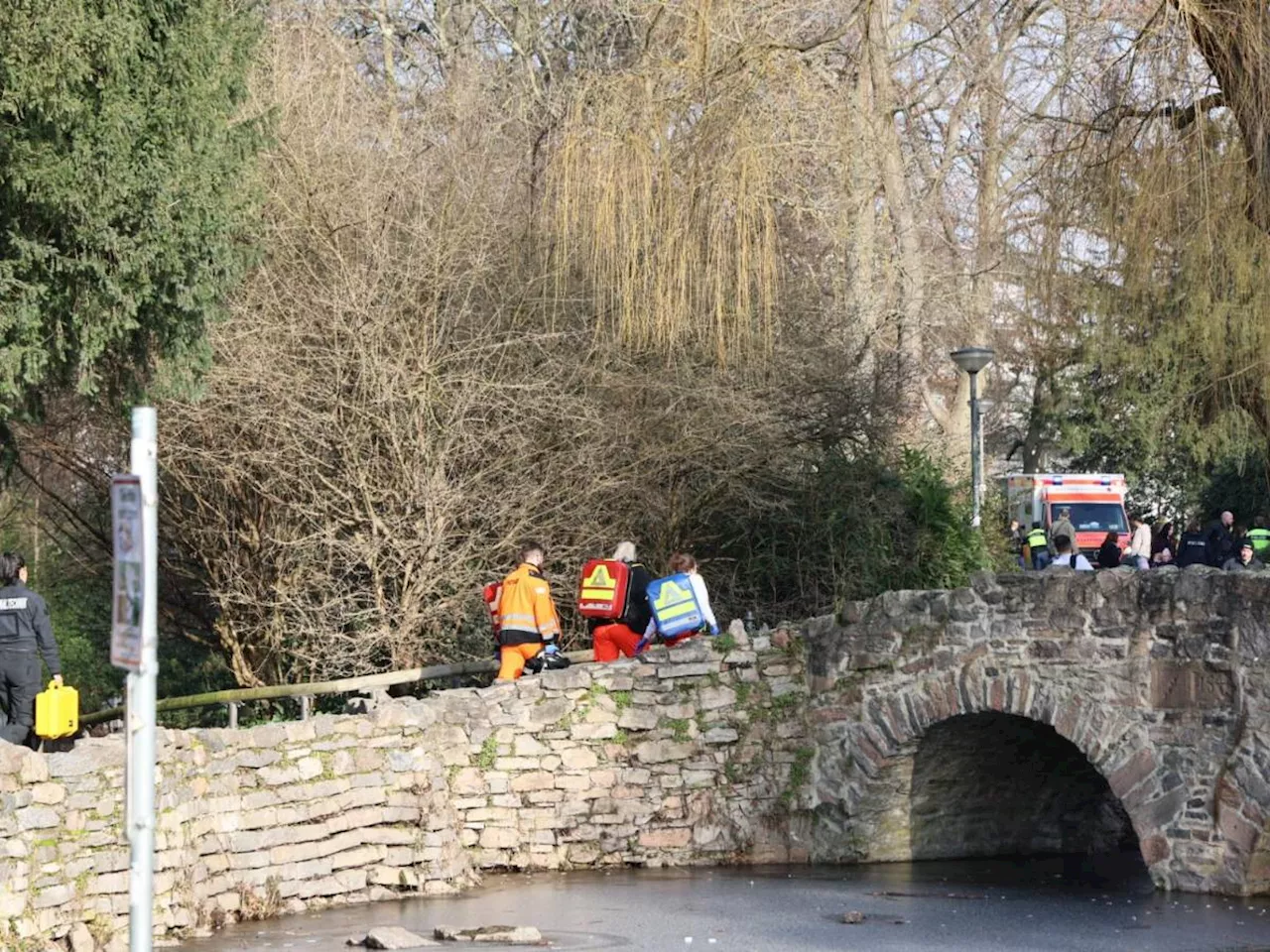 Aggressione in un Parco di Aschaffenburg: Uomo con un Coltello Ferma da Polizia