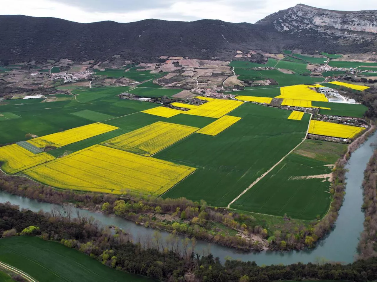 Agricoltura Italiana in Prima Posizione nell'UE per Valore Aggiunto