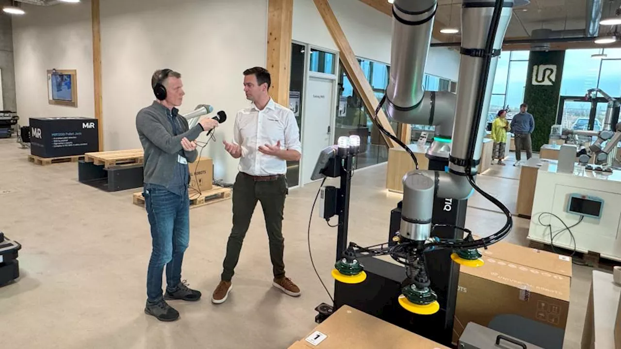 Universal Robots' robotter med indbygget AI kan udføre mange opgaver i fremtiden