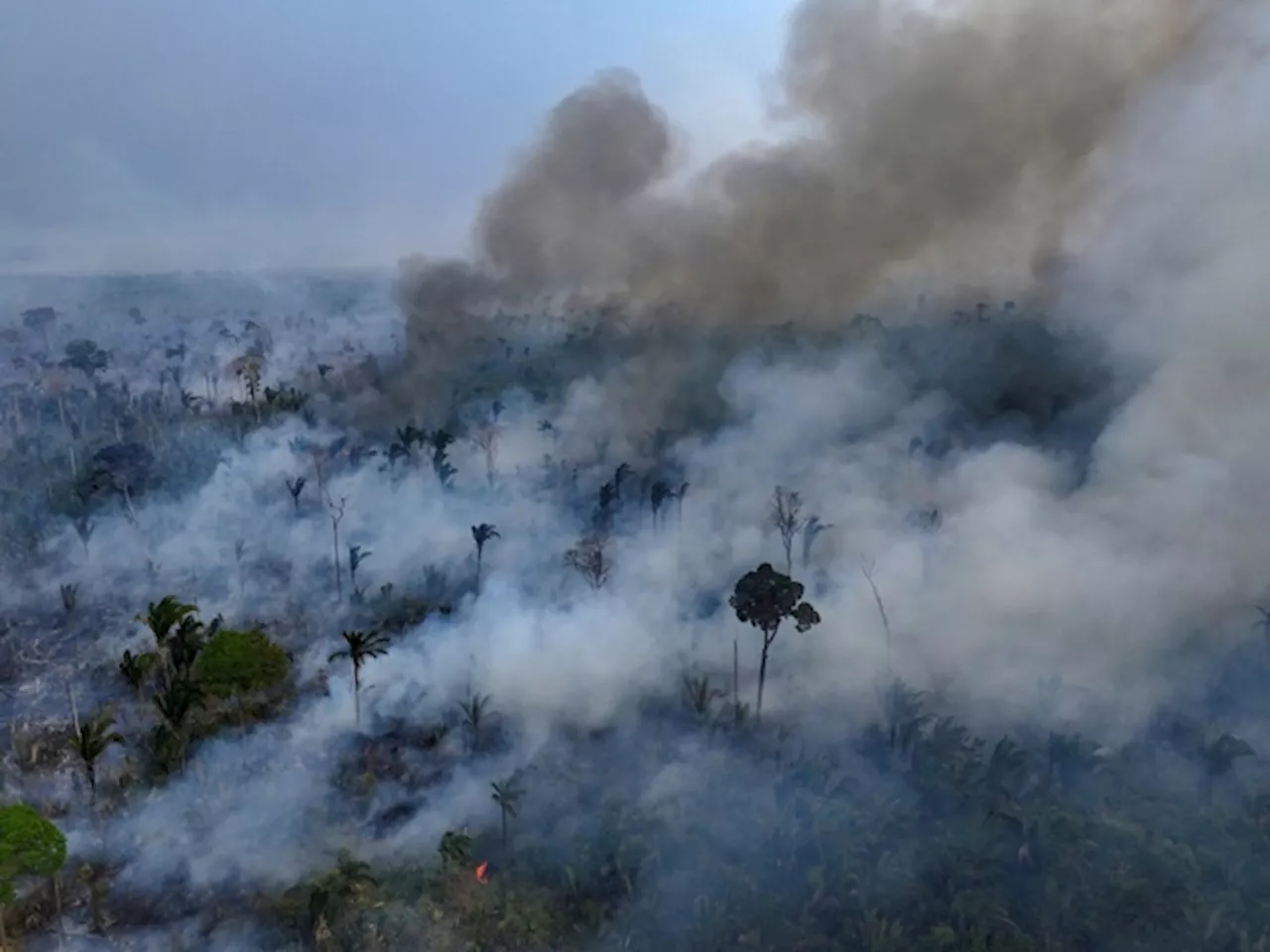 Incendi in Brasile: superficie distrutta raddoppia, l'Amazzonia in pericolo