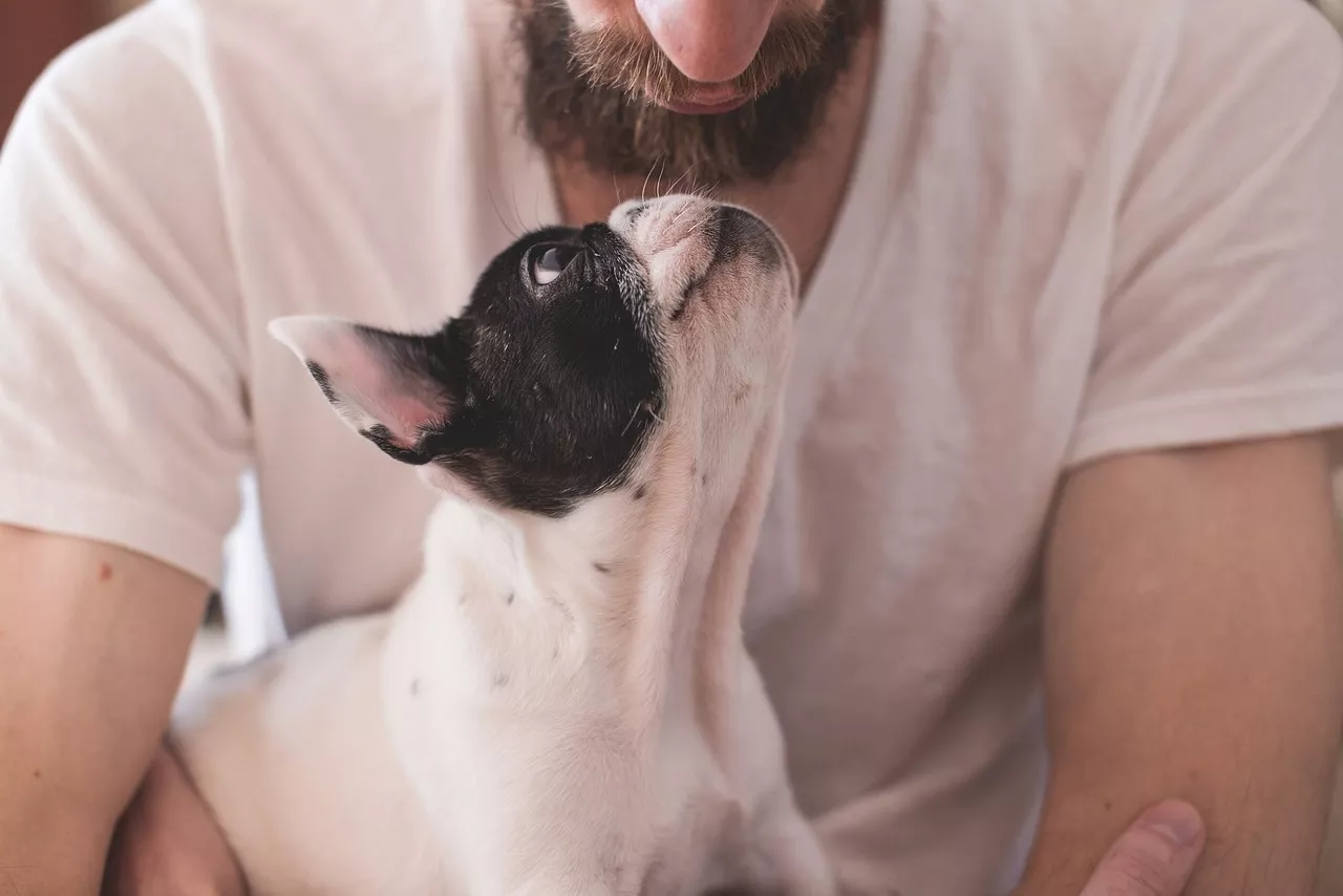 L'Amore per i Cani: Benefici e Sfide dell'Adottazione